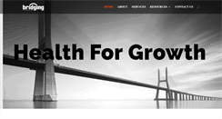 Desktop Screenshot of bridginginternational.com